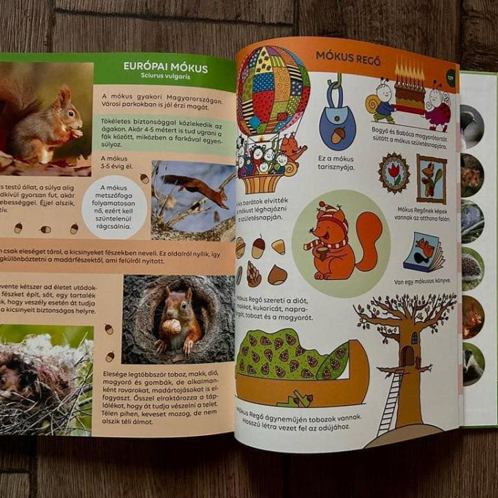 Bogyó és Babóca - Ki kicsoda? - A sorozat szereplői a természetben