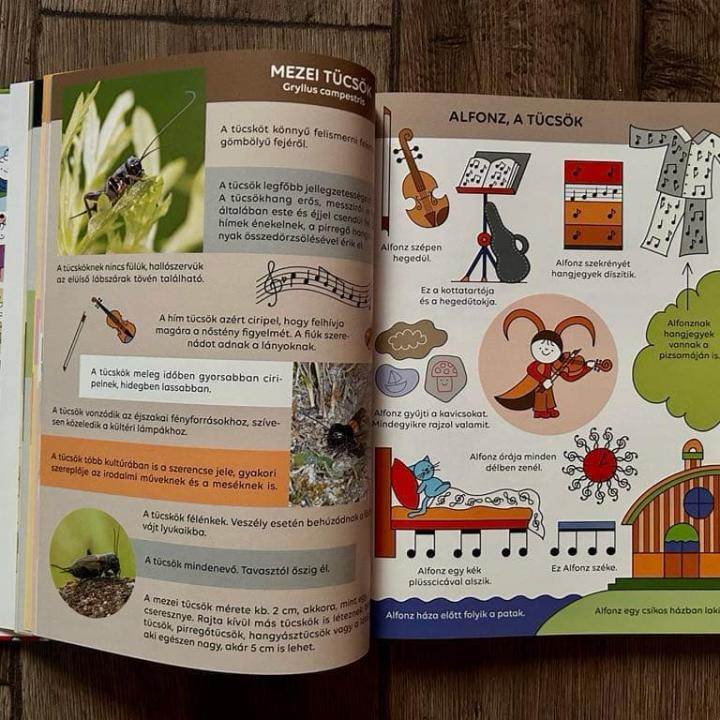 Bogyó és Babóca - Ki kicsoda? - A sorozat szereplői a természetben