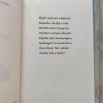 Lengemesék - Nádtengeri nyár