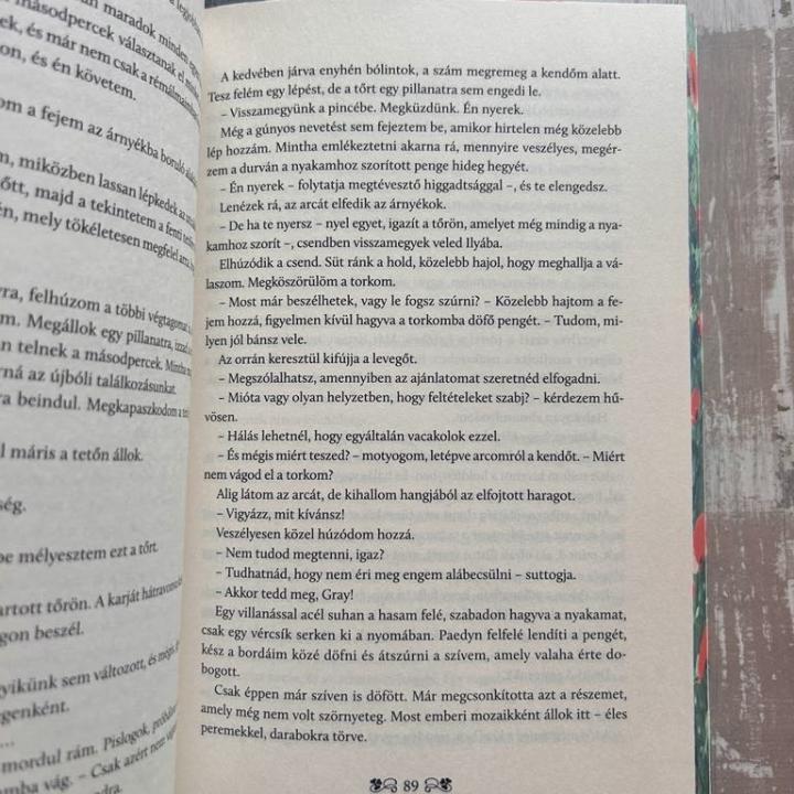 Reckless - A vakmerő