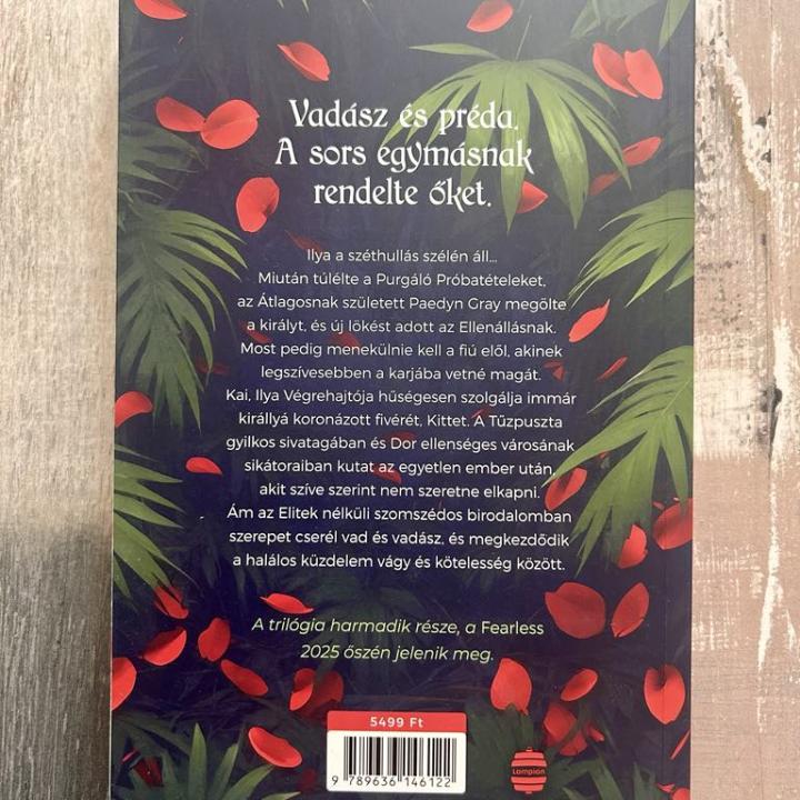 Reckless - A vakmerő