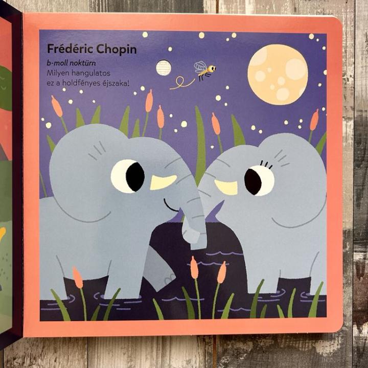 A természet zenéi - Kis zenélő könyveim