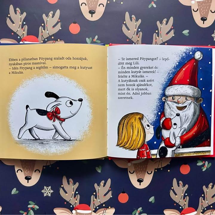 Pitypang és a Mikulás - Pitypang és Lili