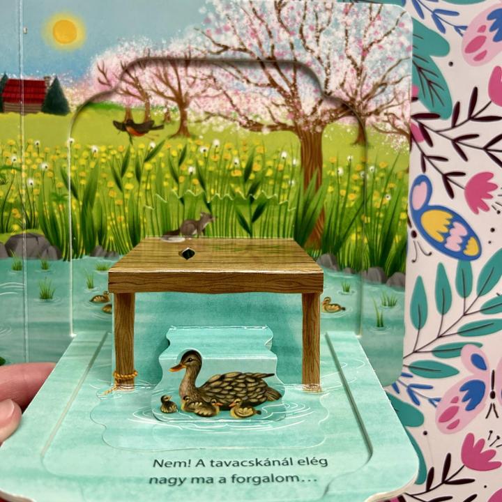 Kukucskálj, keresgélj! – Tavasz az erdőben