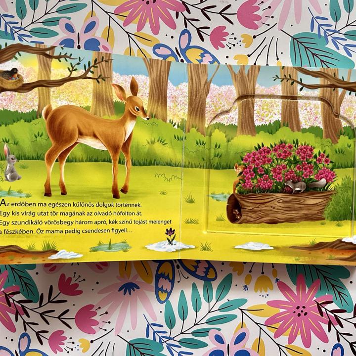 Kukucskálj, keresgélj! – Tavasz az erdőben