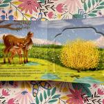 Kukucskálj, keresgélj! – Tavasz az erdőben