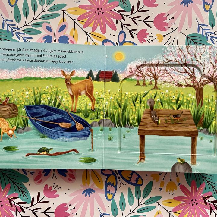 Kukucskálj, keresgélj! – Tavasz az erdőben