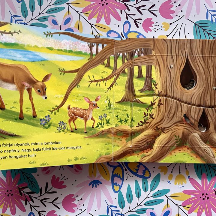 Kukucskálj, keresgélj! – Tavasz az erdőben