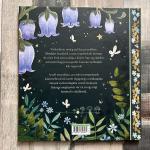 Erik és az ezüst csillag