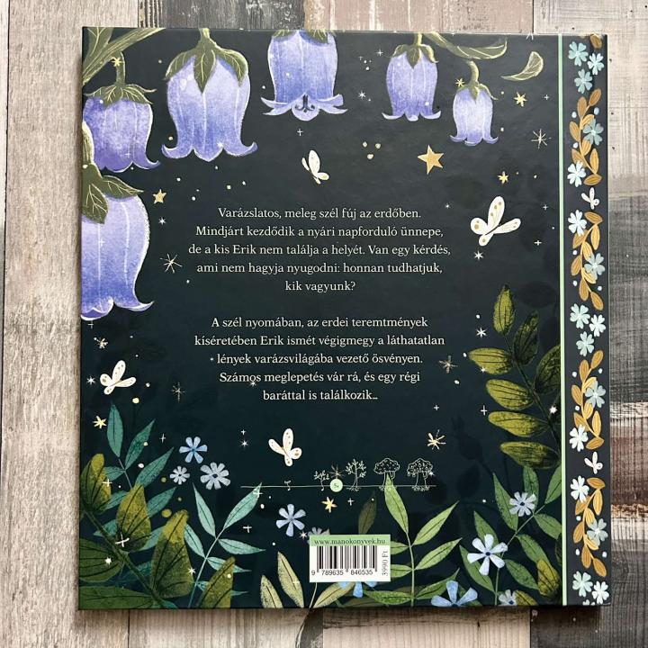 Erik és az ezüst csillag