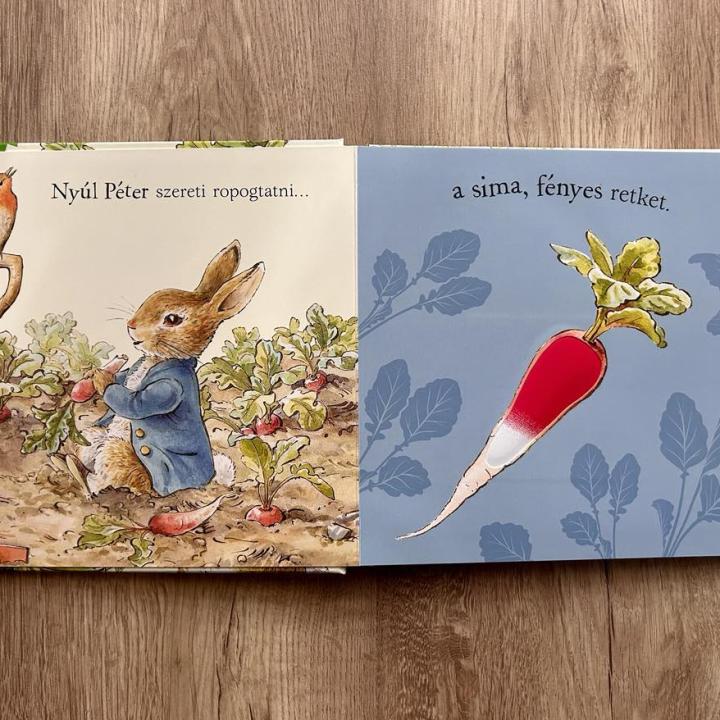 Nyúl Péter világa - Erdei lakoma