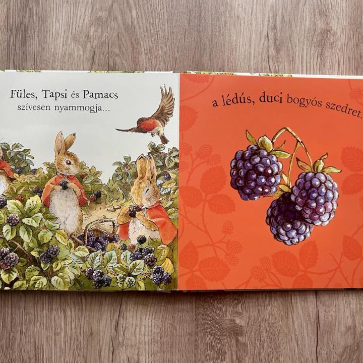 Nyúl Péter világa - Erdei lakoma