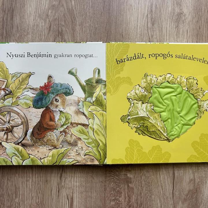 Nyúl Péter világa - Erdei lakoma