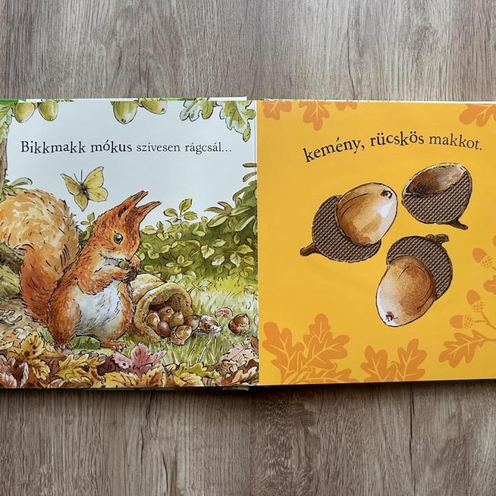 Nyúl Péter világa - Erdei lakoma