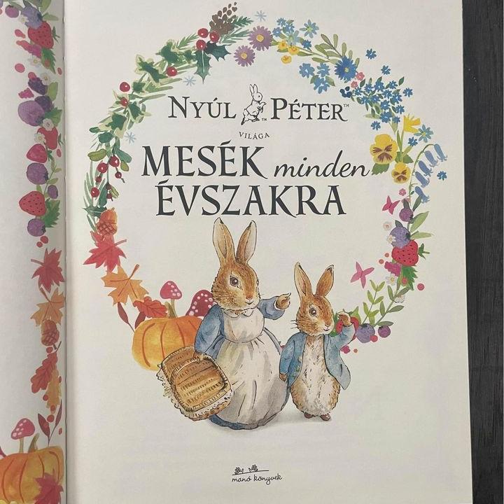 Nyúl Péter világa - Mesék minden évszakra