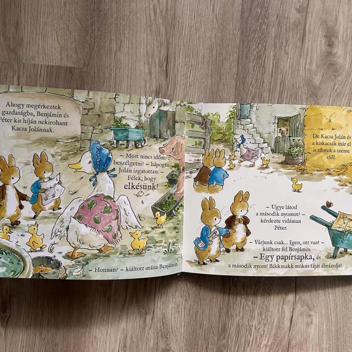 Nyúl Péter világa - Szülinapi kincsvadászat