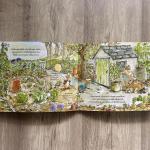 Nyúl Péter világa - Szülinapi kincsvadászat