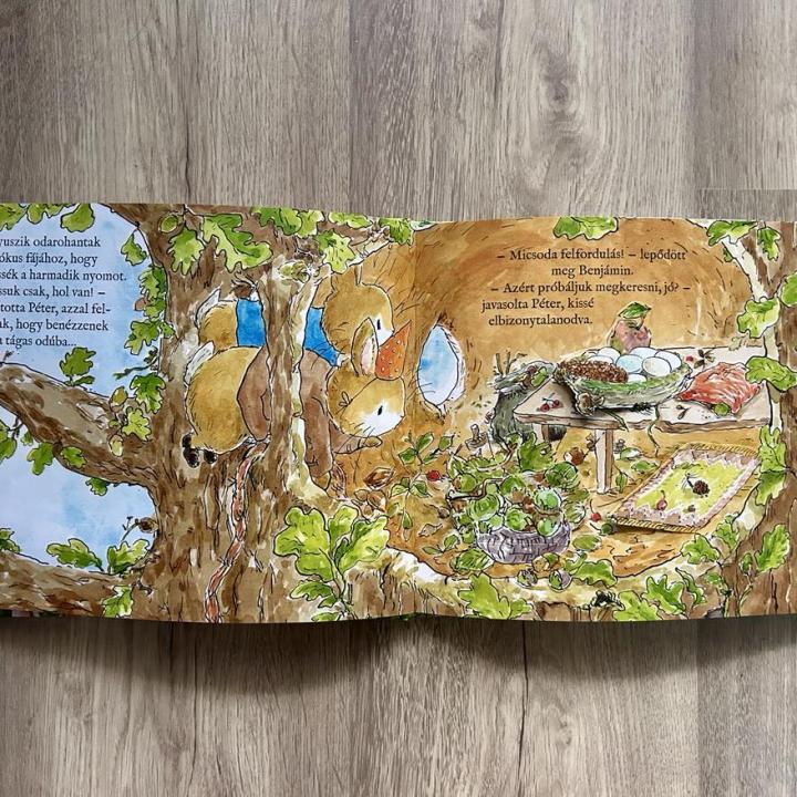 Nyúl Péter világa - Szülinapi kincsvadászat