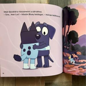 Bluey - Kemping