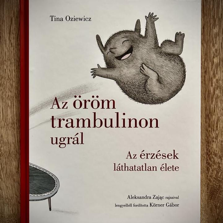 Az öröm trambulinon ugrál - Az érzések láthatatlan élete