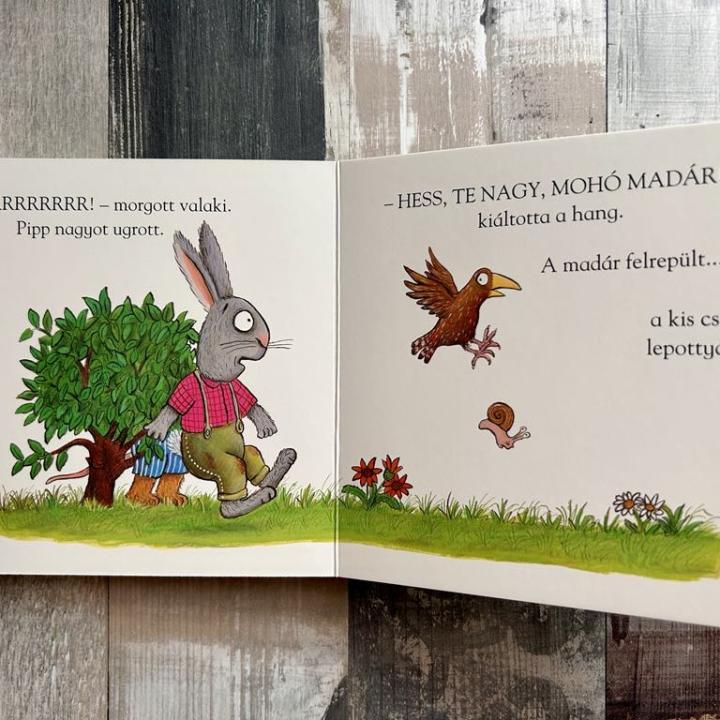 Pipp és Polli - A barátságos csiga
