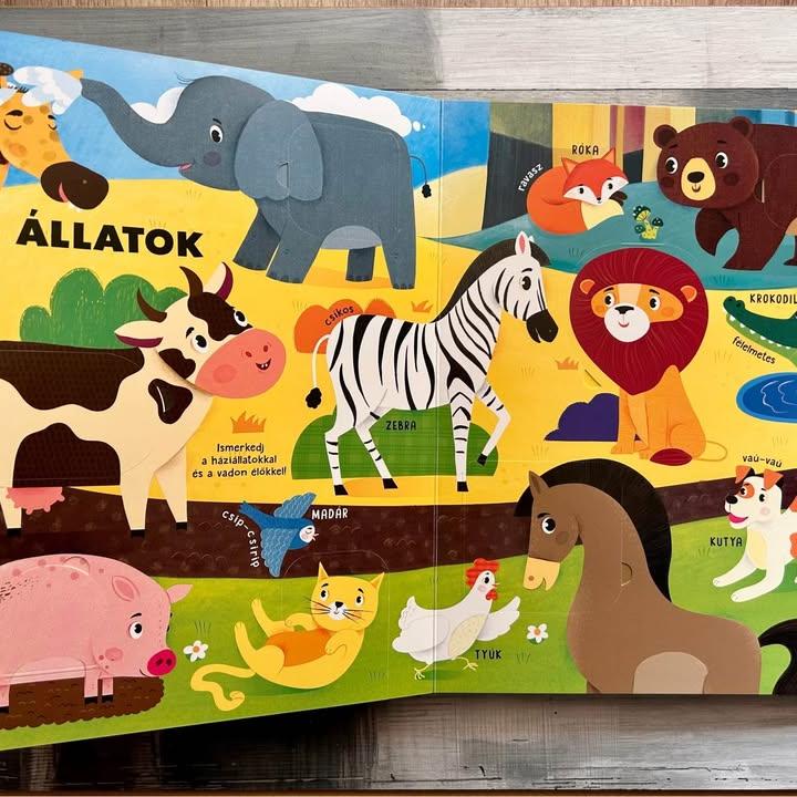 Szavak világa – Első képeskönyvem