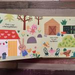 Hol a hímes tojás?