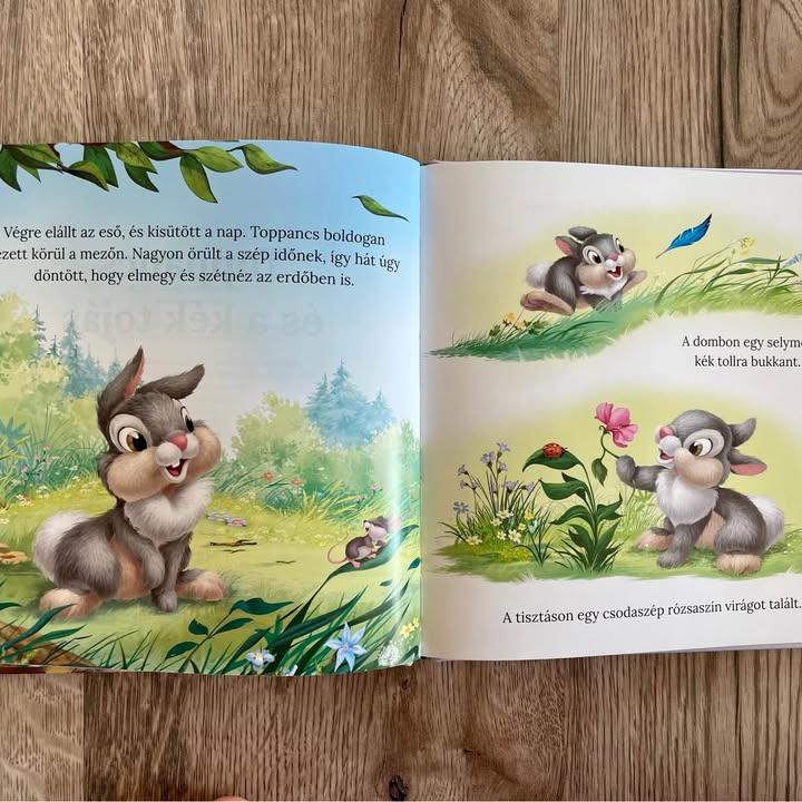 Disney Nyuszik – Toppancs és a kék tojás